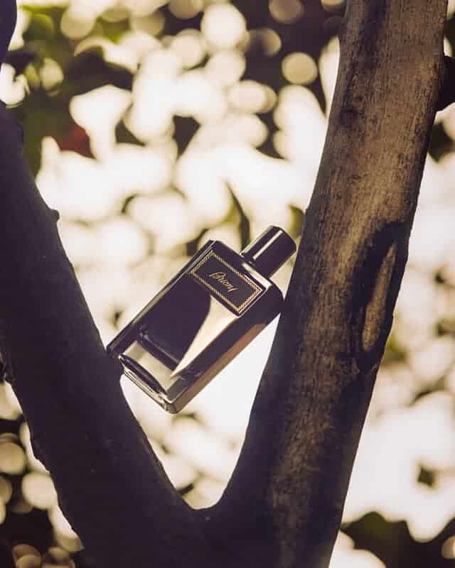 13 melhores fragrâncias de perfumes luxuosos para homens Brioni Eau de Parfum Intenso