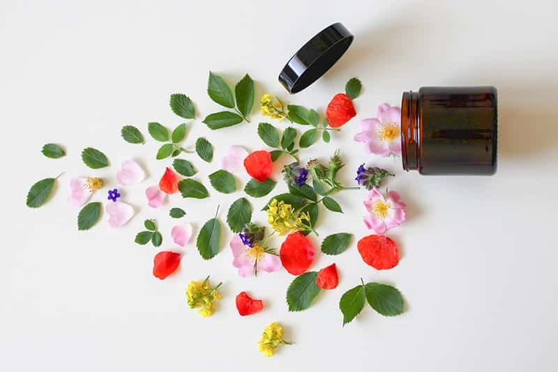Os 10 melhores produtos de beleza sustentáveis As melhores marcas de beleza eco luxo e dicas para uma rotina de beleza ética