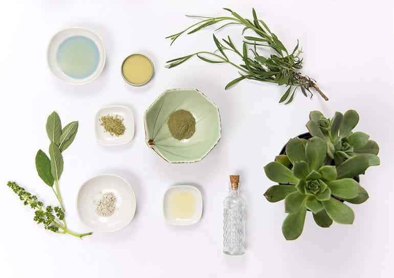 Os 10 melhores produtos de beleza sustentáveis Melhores dicas de beleza sustentável