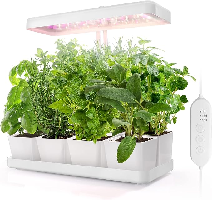 17 presentes de luxo para a mulher que não quer nada Planta de espectro completo cresce leve