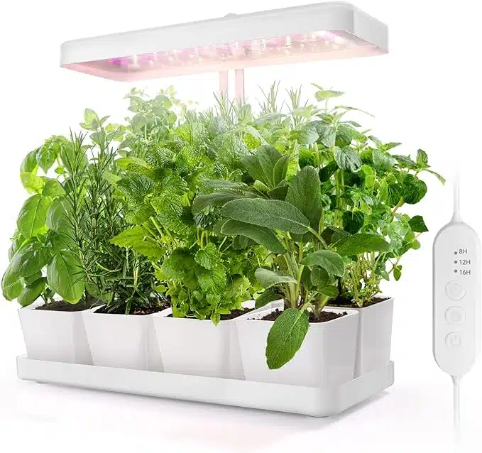 17 presentes de luxo para a mulher que não quer nada Planta de espectro completo cresce leve